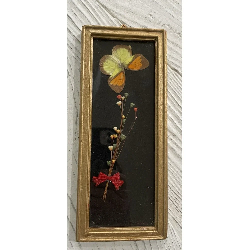 Vtg MCM Framed Dried Flowers‎ and Butterfly Specimen  4x9